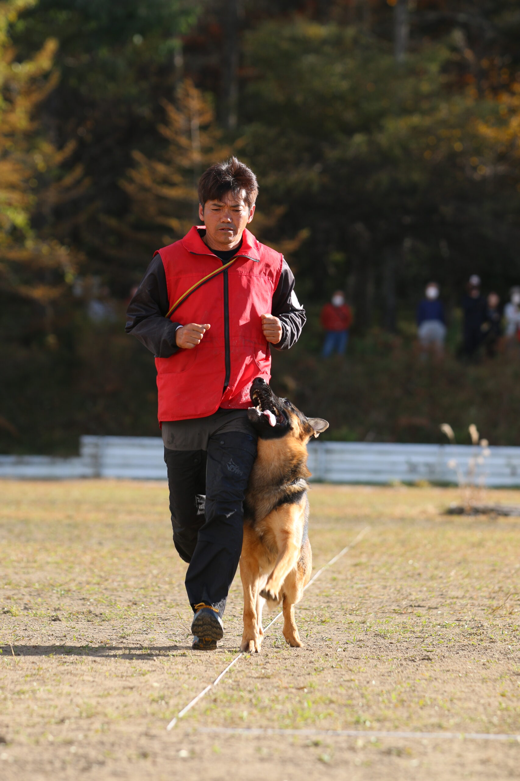 日本 警察 犬 協会