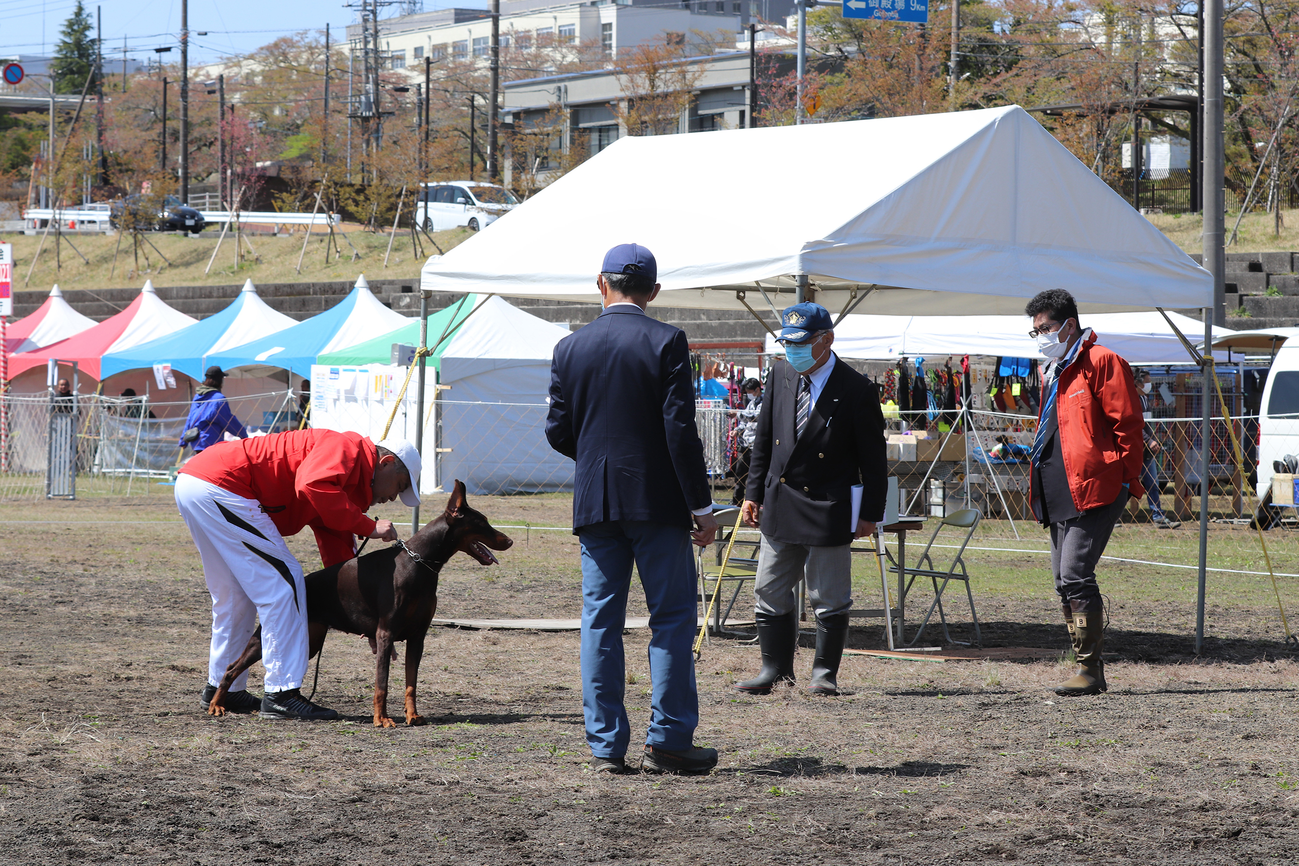 日本チャンピオン決定審査会 - 日本警察犬協会