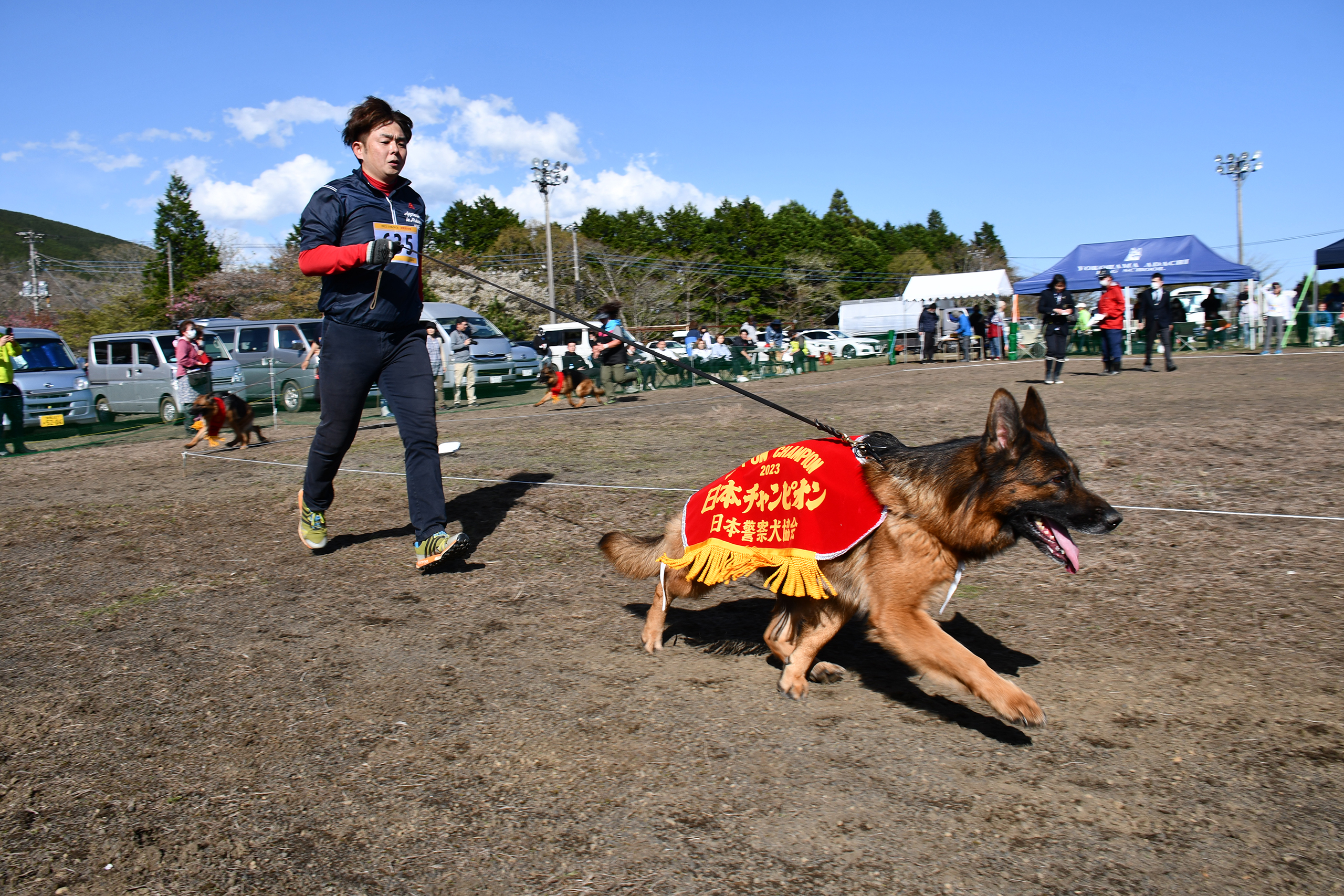 日本チャンピオン決定審査会 - 日本警察犬協会
