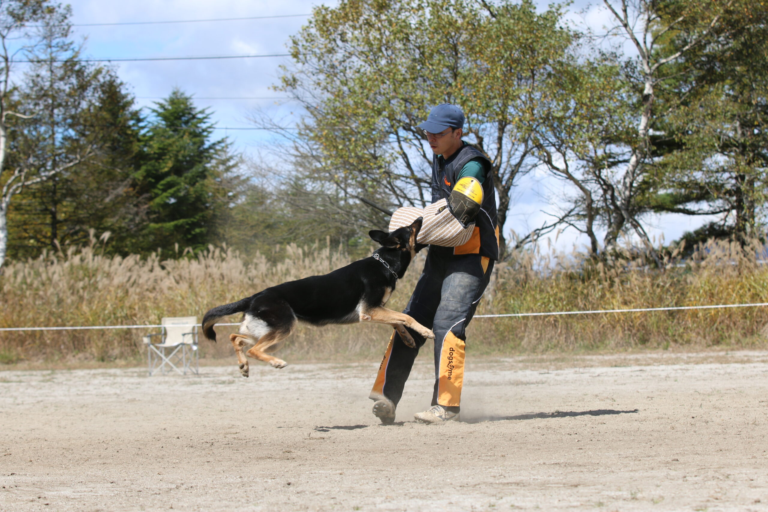 警戒の仮想犯人への襲撃